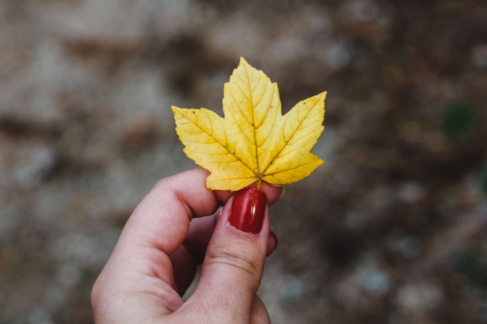 Simple Fall Nail Designs for Beginners